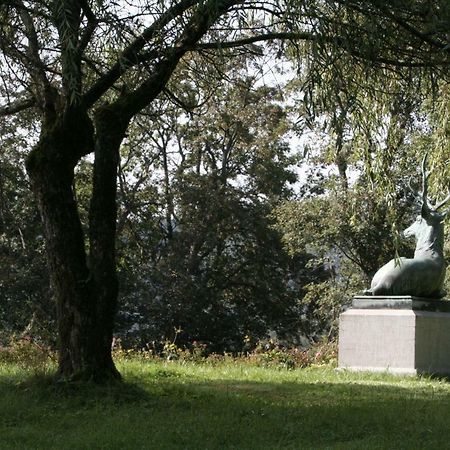 巴特拉瑟菲Schloss Wittgenstein公寓 外观 照片