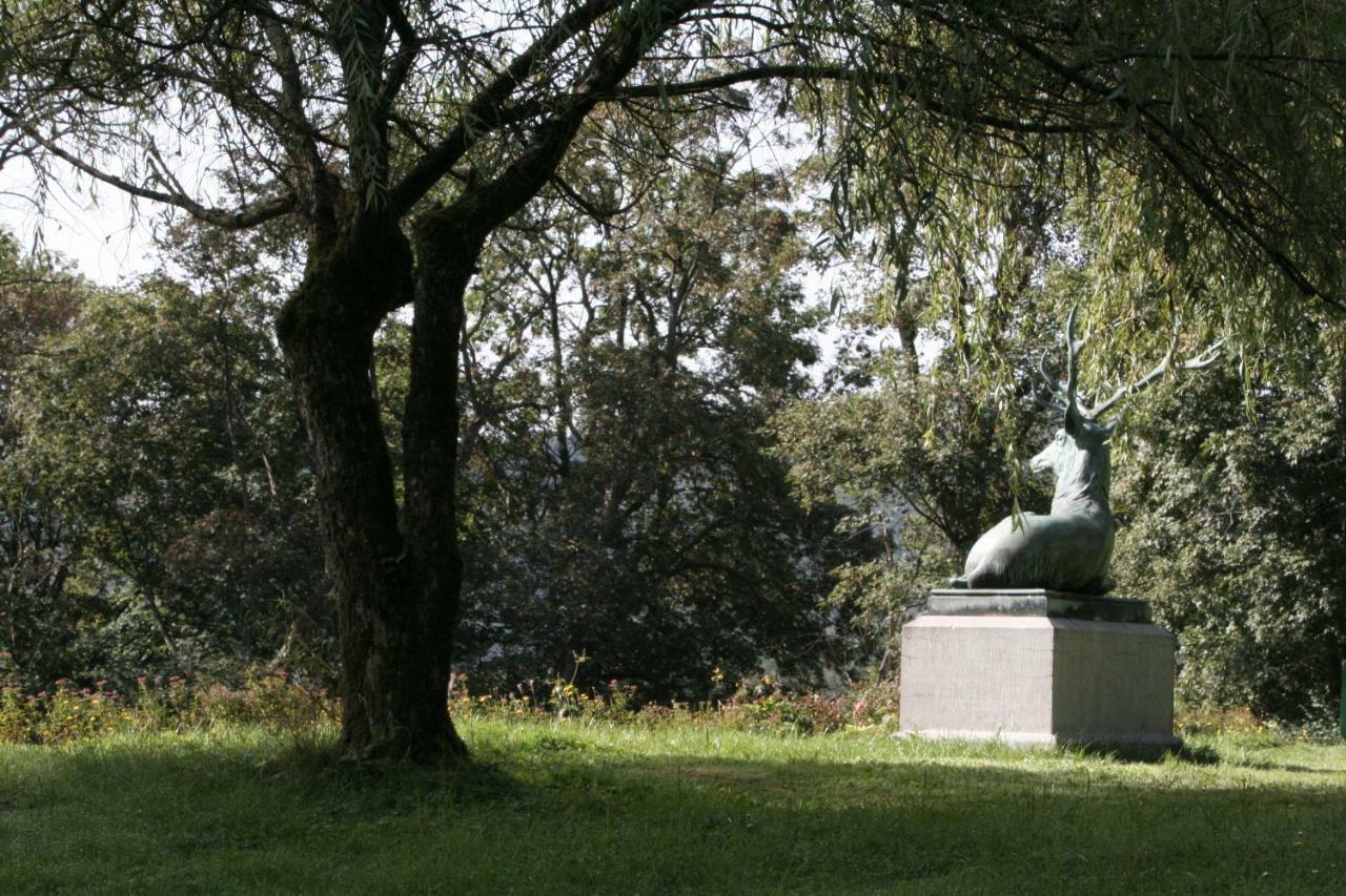 巴特拉瑟菲Schloss Wittgenstein公寓 外观 照片
